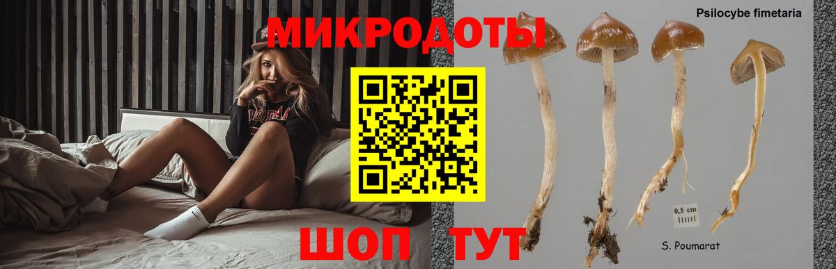 Псилоцибиновые грибы мицелий  Вход с VPN  Северск  Псилоцибиновые грибы прущие грибы 